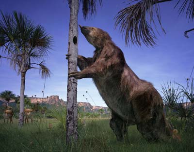 Megatherium Rendering