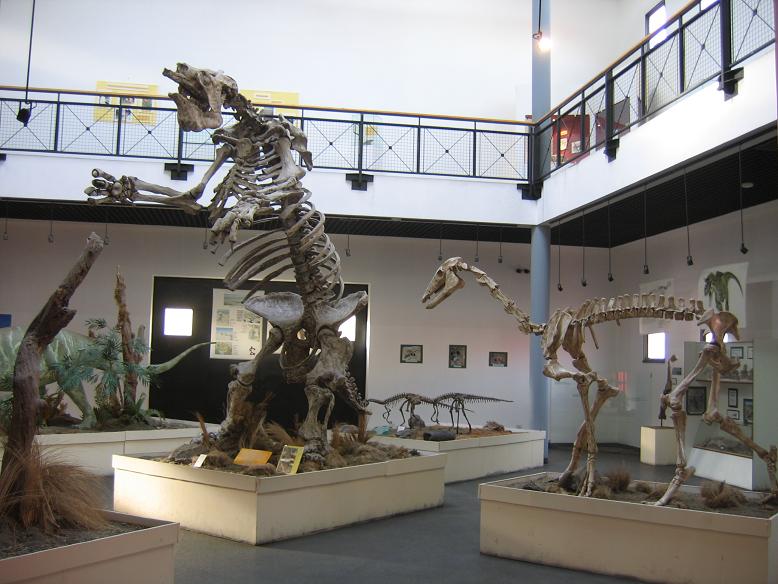 Megatherium Skeleton