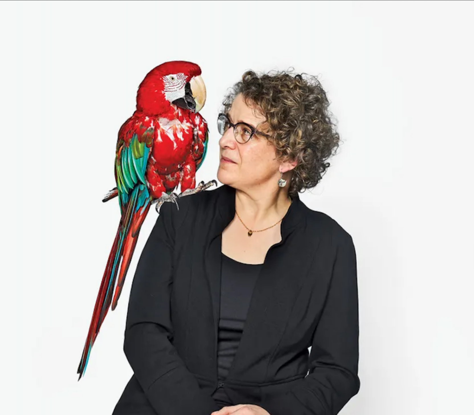 bender_emily_stochastic_parrot