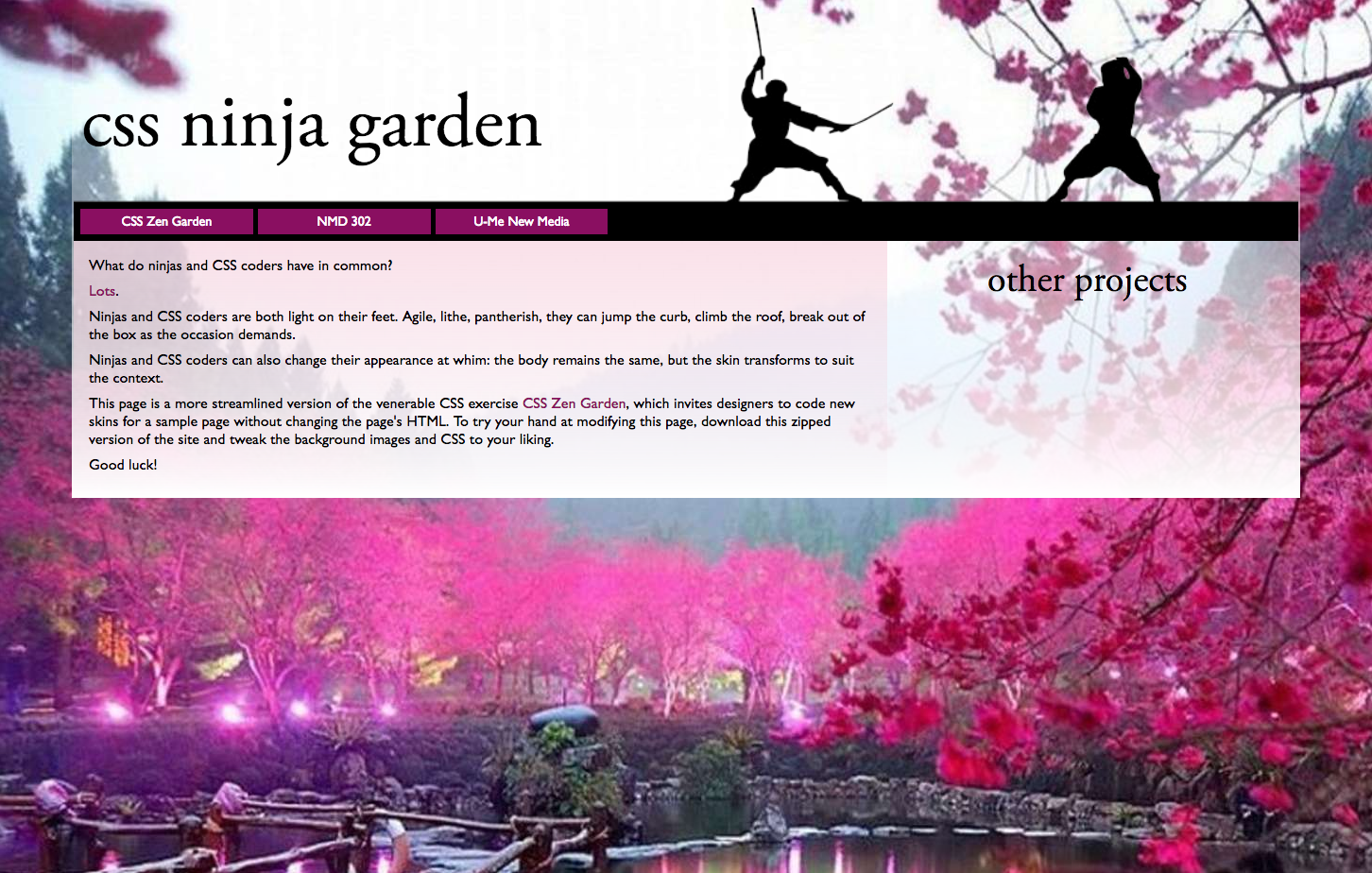 Css Ninja Screenshots 2