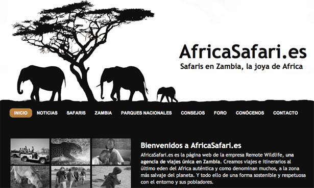 Good Web Design Safari