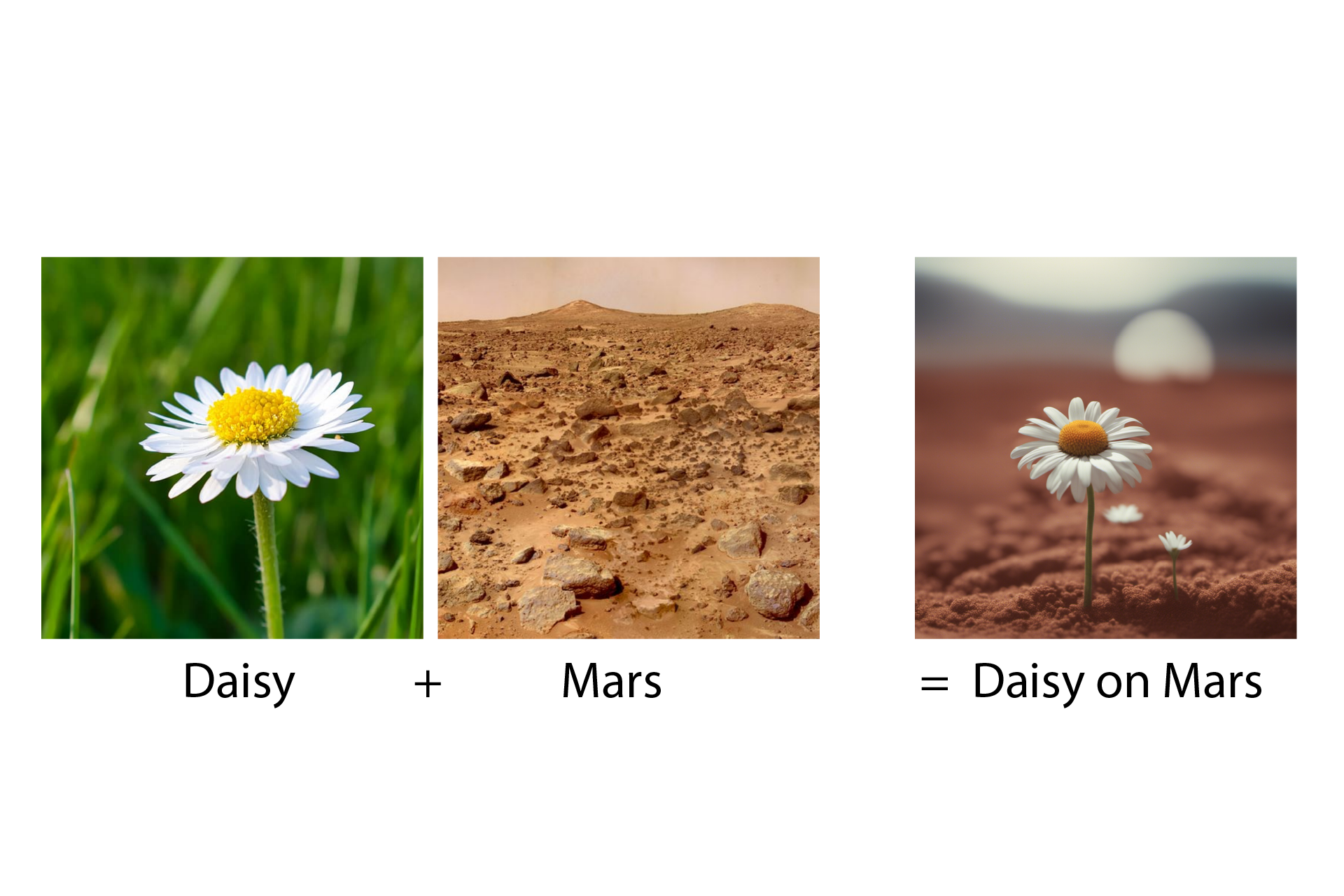 martian_daisy_10