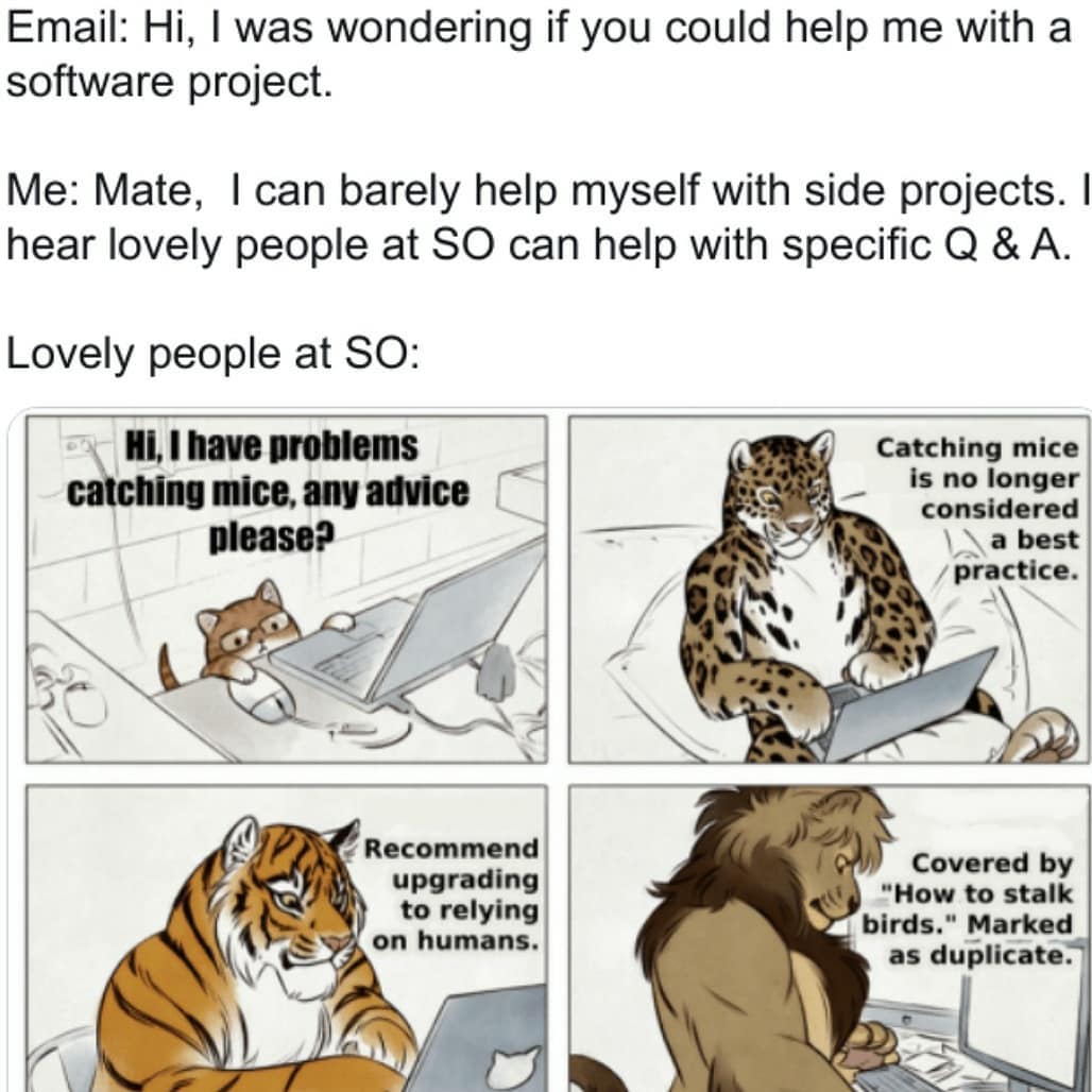 Meme Cats Stack Overflow