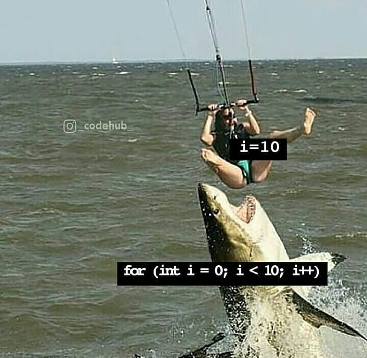 Meme Shark For Loop Index